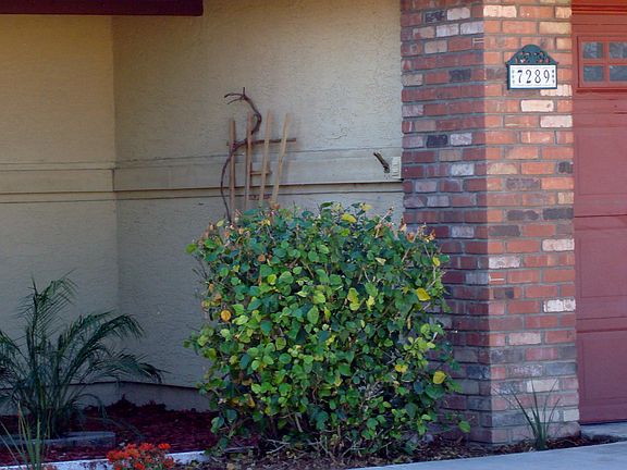 4th image of 7289 W Shaw Butte Dr