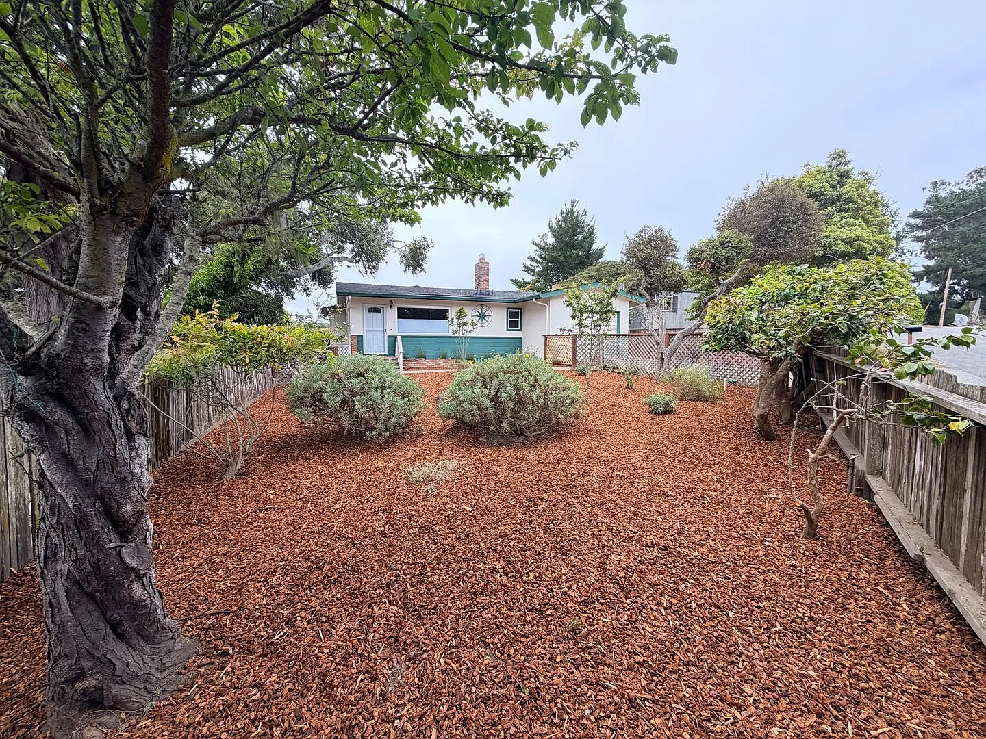 Conveniently Located in Pacific Grove Lovely 2 Bedroom, 2 Bathroom Cottage-Style Home — Photo 4