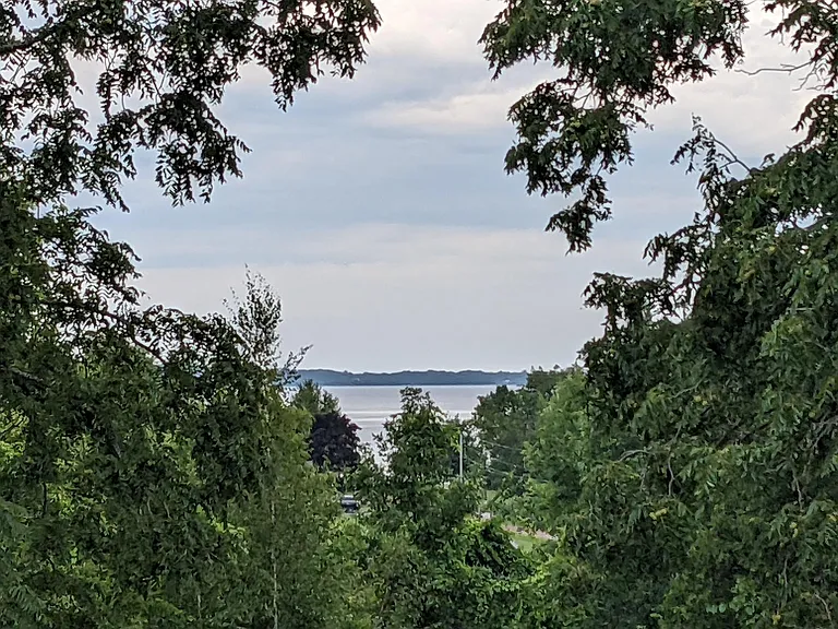 View from back deck