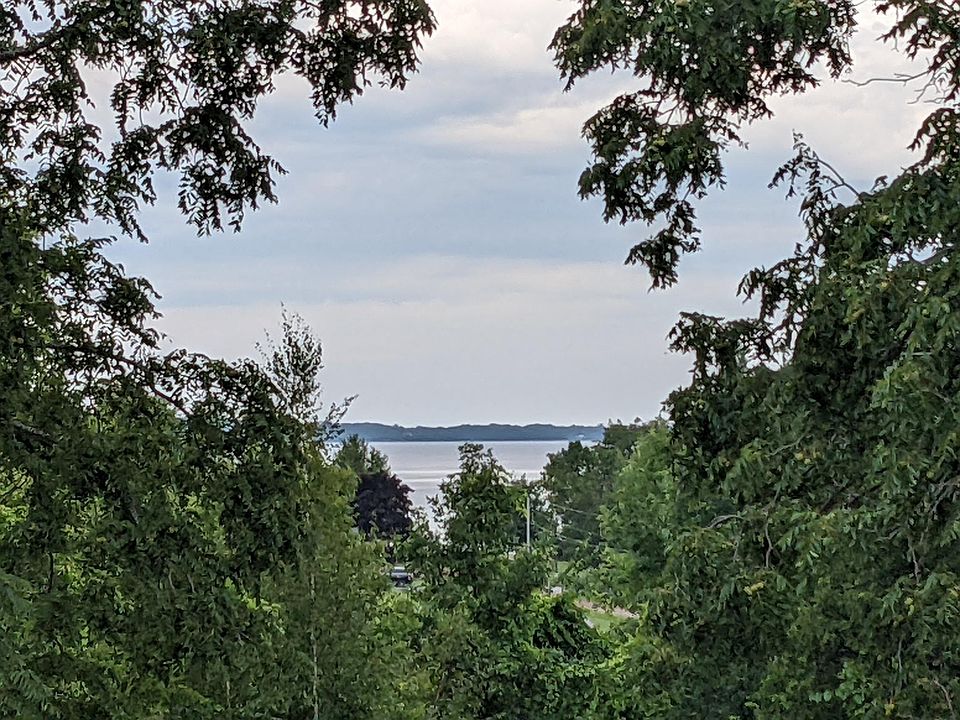 View from back deck