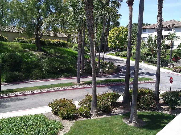 View from Balcony