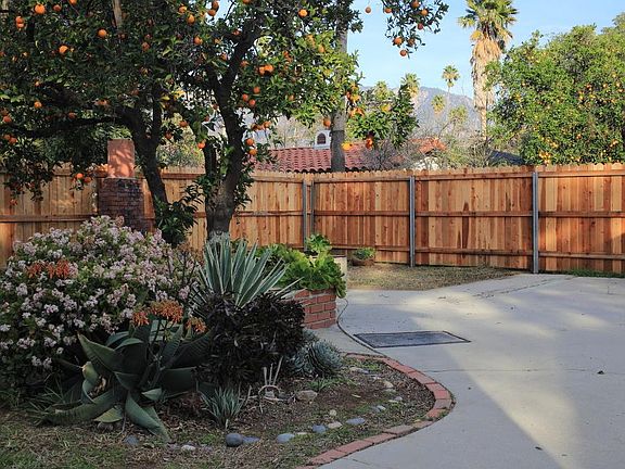 Private fenced back yard with fruiting orange tree and patio area suitable for small garden or planters