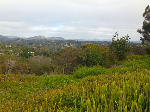 View from Garden and Living/Dining/Kitchen