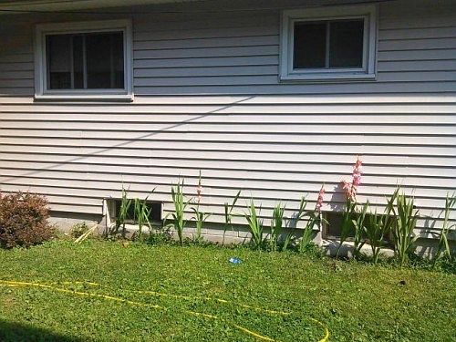 3rd image of 236 N Pearl St