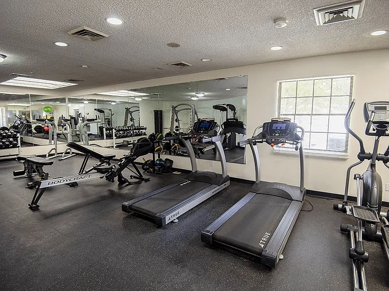 Treadmills for Cardio