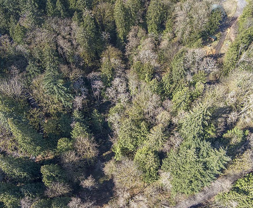2nd image of Lindsay Ln