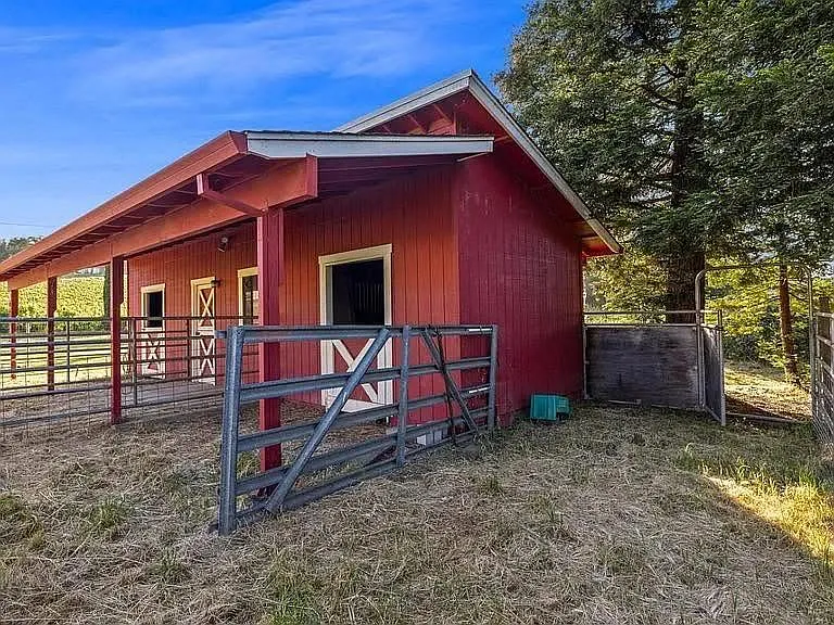 1187 Debbie Hill Rd — Photo 16