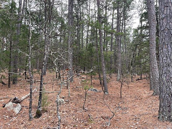 5th image of 4940 Beaver Dam Rd