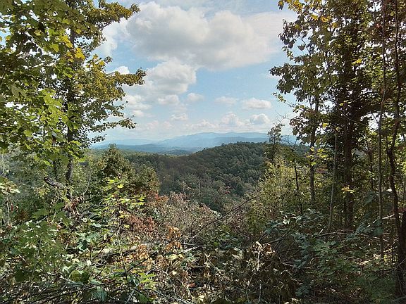 4th image of End of Tanglewood Ridge