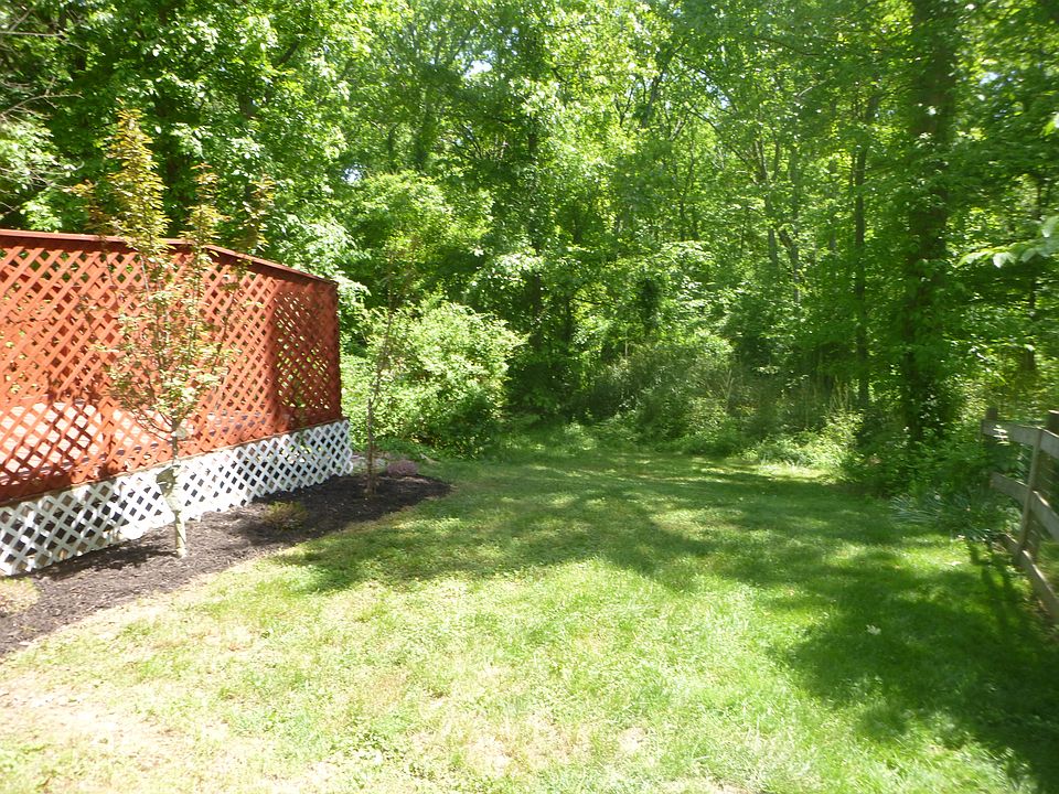 Backyard views to woods