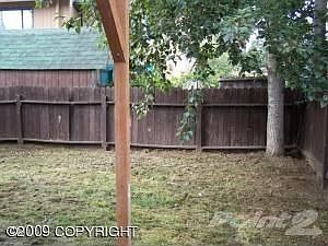 Fencd Back Yard