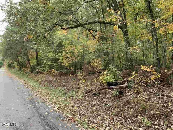 1196 Tree Line Ln, White Pine, TN 37890