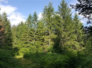 306 XX 290th Lot B Ave SE, Black Diamond, WA 98010