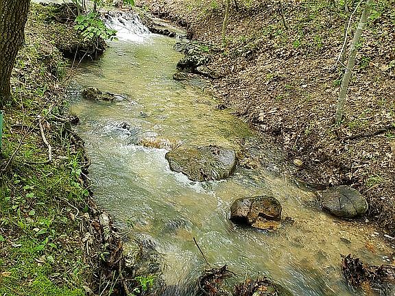 3rd image of 269 County Road 3023