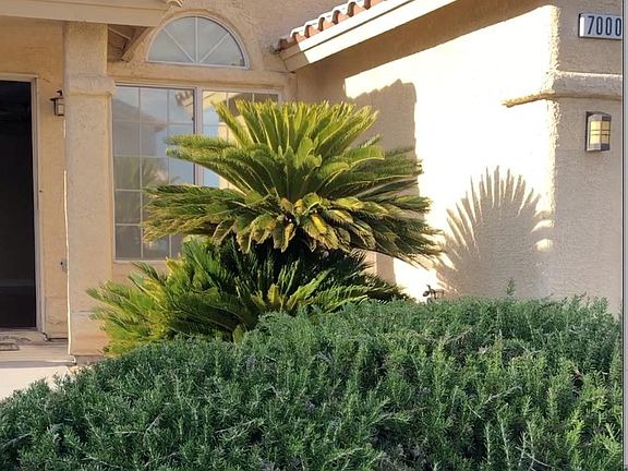 5th image of 7000 Desert Clover Ct