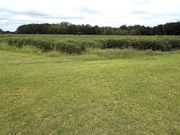 Dennis Rd, Hemingway, SC 29554