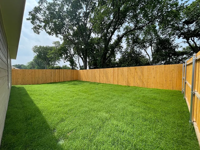 Backyard view 1