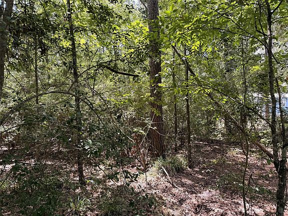 2nd image of 13 Quailcrest