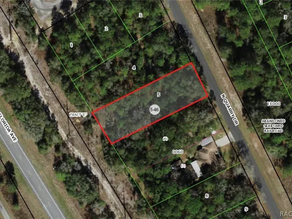 9756 N Quarry Dr, Citrus Springs, FL 34434