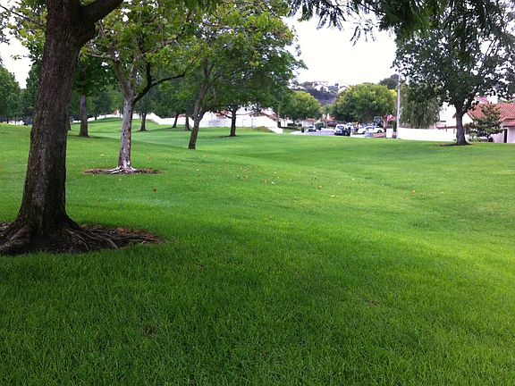 parklike view