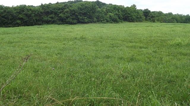 1st image of 0 Eastes Hollow Ln