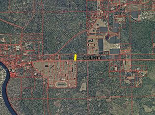 1 Ac Wooded Homesite On Sr 40, Astor, FL 32102