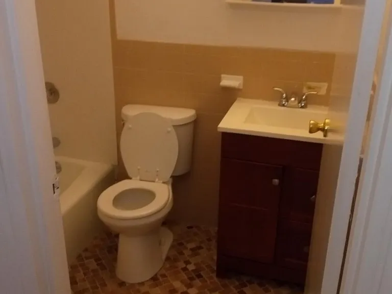 tile bath with shower, mirrored medicine cabinet and vanity