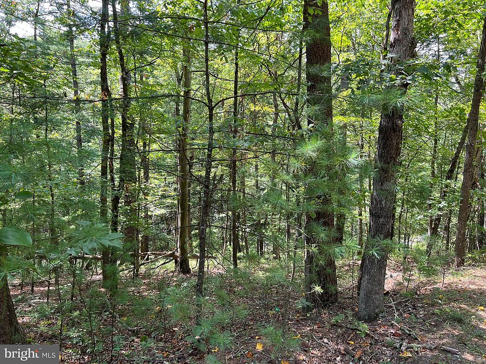 2nd image of 0 Spruce Ln