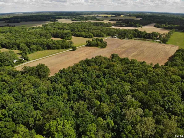 0 Raven Rd, Farina, IL 62838