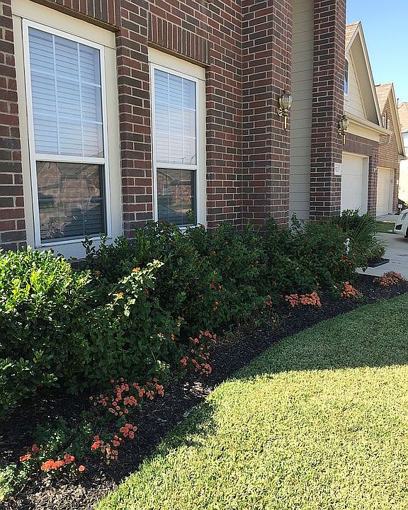 Yard with sprinkler system 