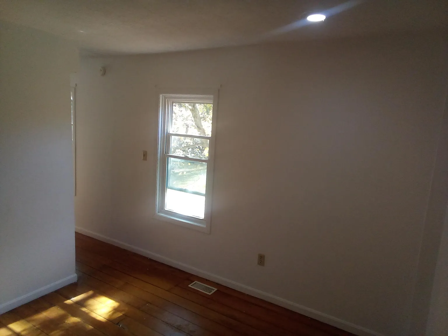 Studio, 300 sqft, $600 — Photo 4