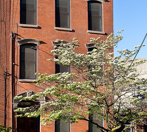 223 York Street (2)
