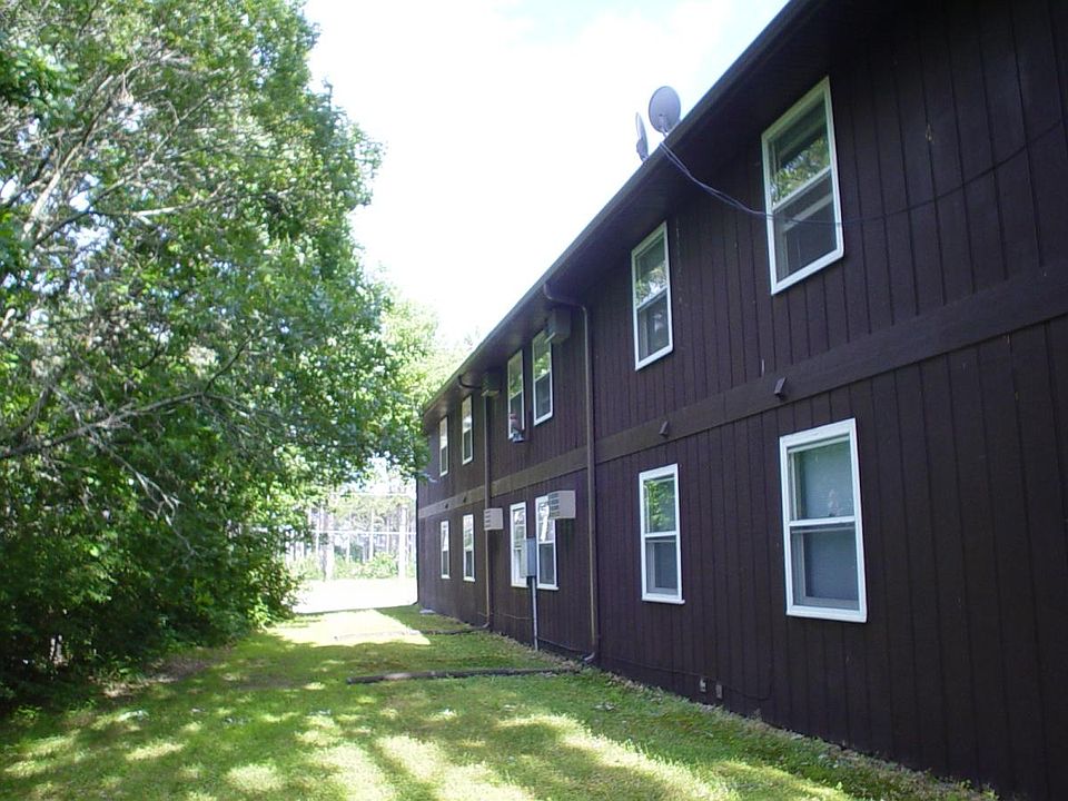 Back view