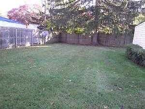 4th image of 453 Greenvale Dr