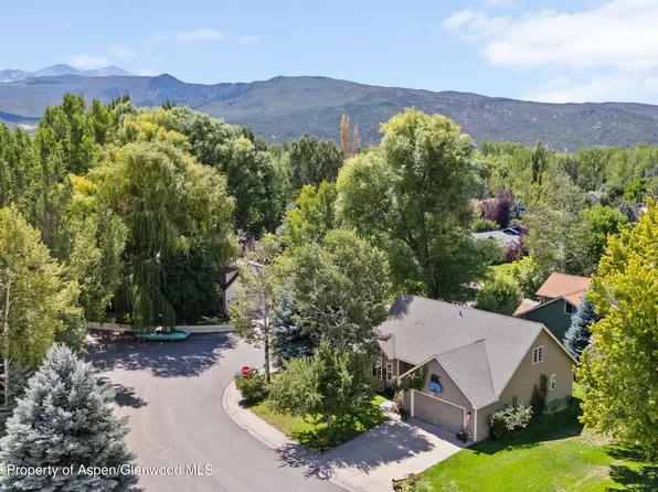 19 Eagles Nest Ct, El Jebel, CO 81623
