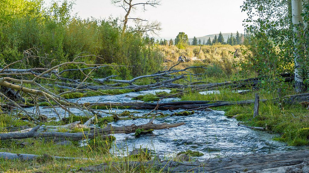 1380 S Birch Creek Rd, Manila, UT 84046 MLS 11107189 Zillow