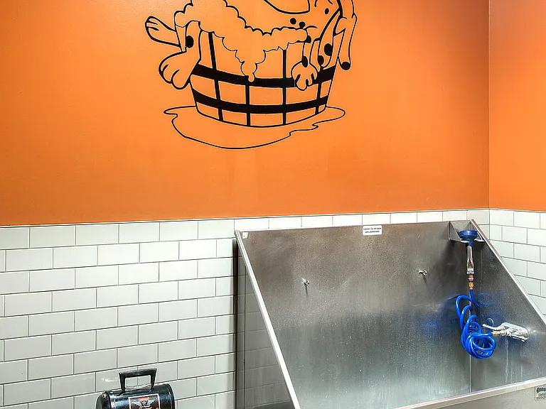 Pet Spa