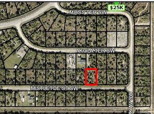 645 Mistletoe St SW, Palm Bay, FL 32908