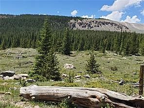 4th image of 86 Timberline Trail