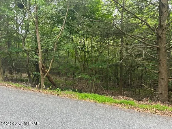 4536 Briarcliff Ter, Tobyhanna, PA 18466
