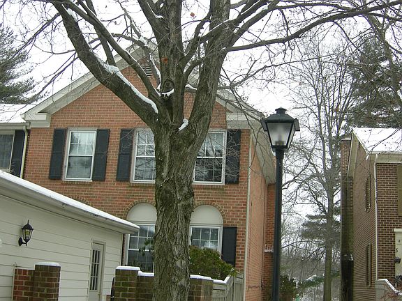 4th image of 19735 Greenside Ter