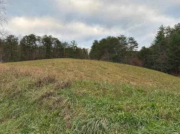 Chavis Rd, Cosby, TN 37722