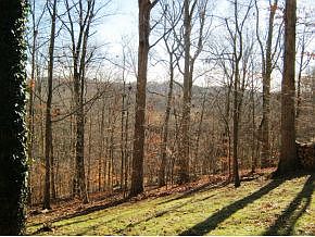 4th image of 261 Timberland Cir