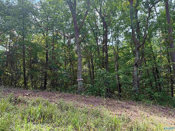 3rd image of 33 & 34 Woodfern Dr