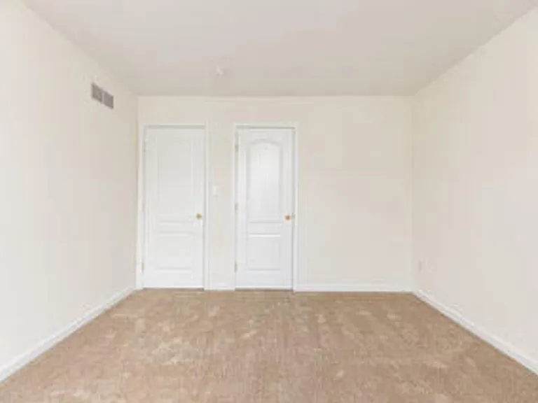 113 Pumpkin Patch Ln — Photo 28