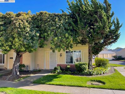 4196 Asimuth Cir, Union City, CA, 94587