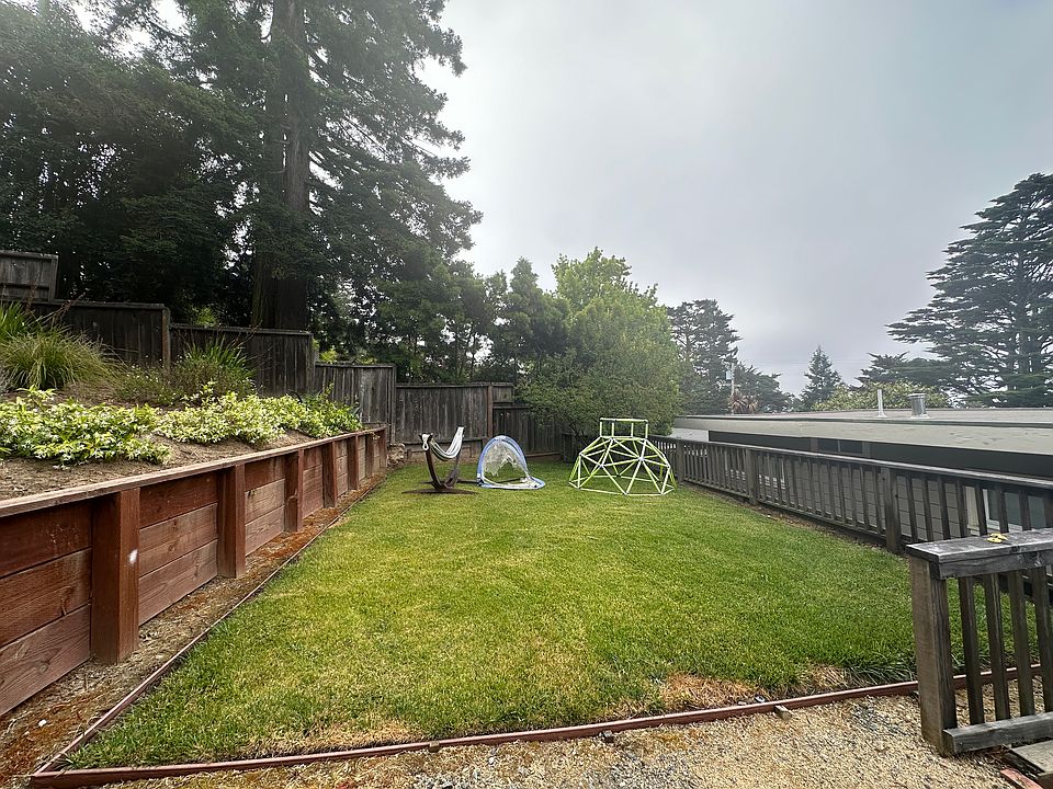 backyard grassy area