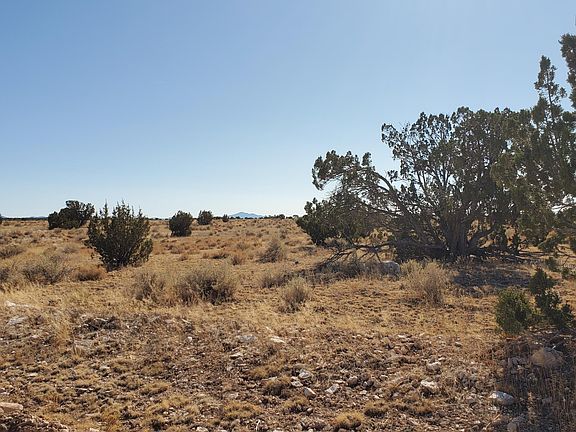 5th image of 9692 W Cloud Cover Way