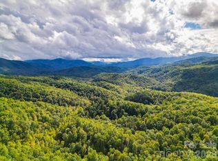 99999 Forest Brook Dr, Black Mountain, NC 28711