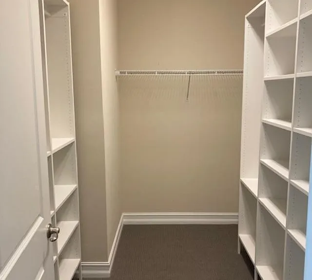 10199 Akenside Dr — Photo 11